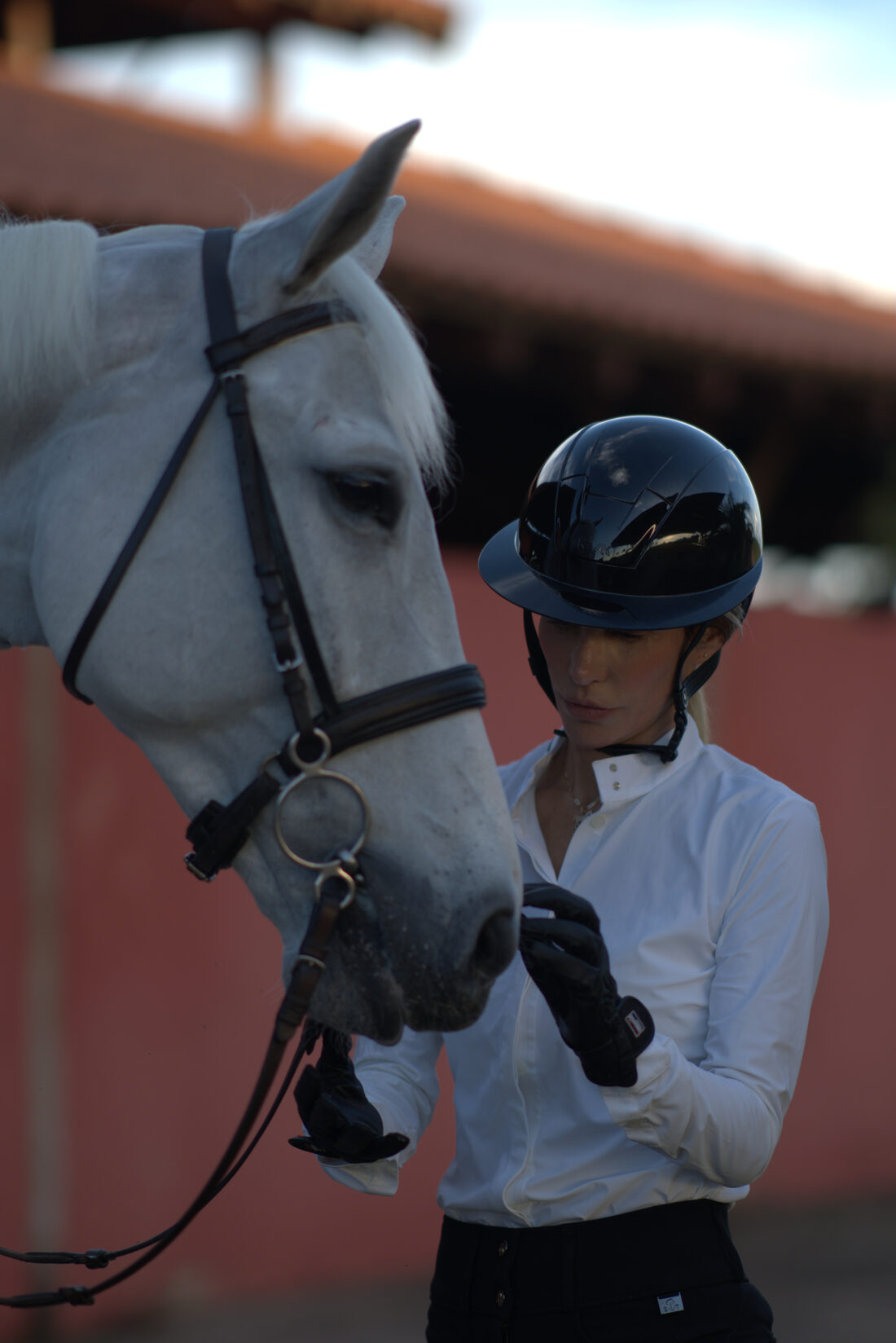Amazona ao lado de um cavalo branco